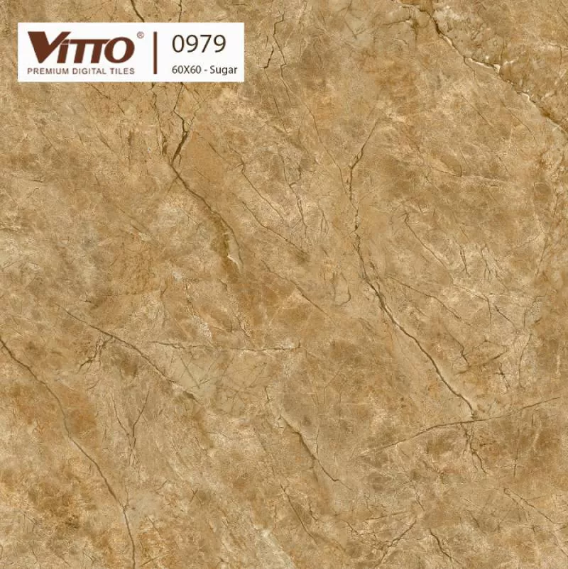 Gạch Procelain lát nền men mờ Vitto 60x60cm 0979