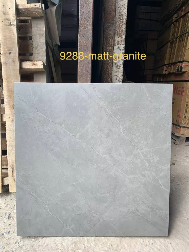 Gạch lát nền 600x600 9288