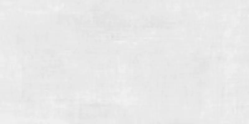 Gạch ốp lát vân đá Taicera màu trắng 600x300mm G63922