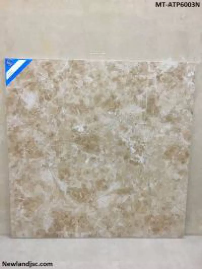 Gạch lát nền cao cấp KT 600x600mm MT-ATP6003N 