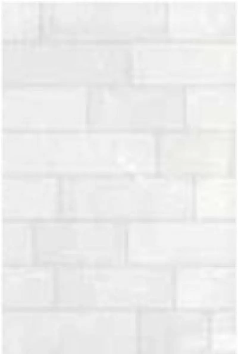 Gạch Đồng Tâm 30x45 MT-GDT3045Hoada002 
