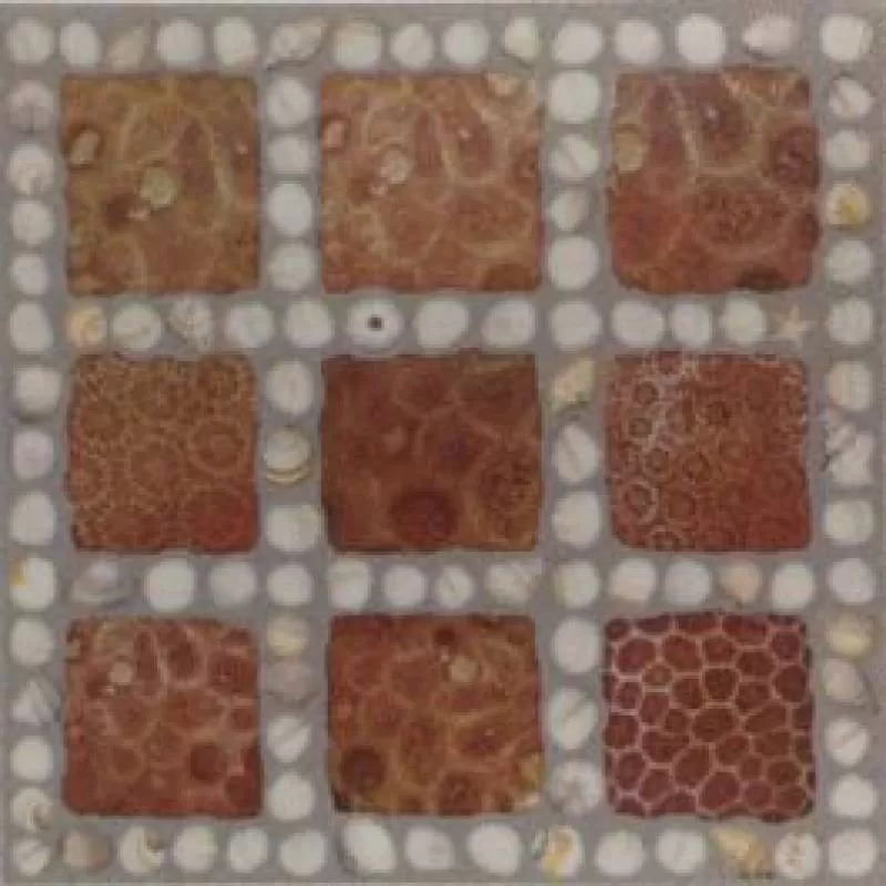 Gạch Đồng Tâm Granite 50×50 MT-GDTDTD5050Truongsavn 