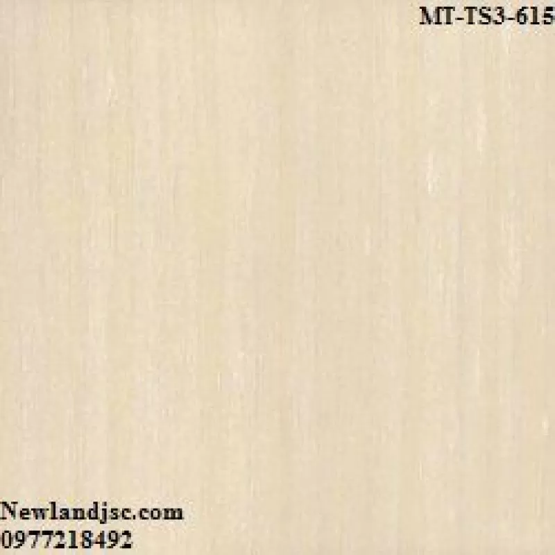 Gạch lát nền Viglacera KT 600x600mm MT-TS3-615