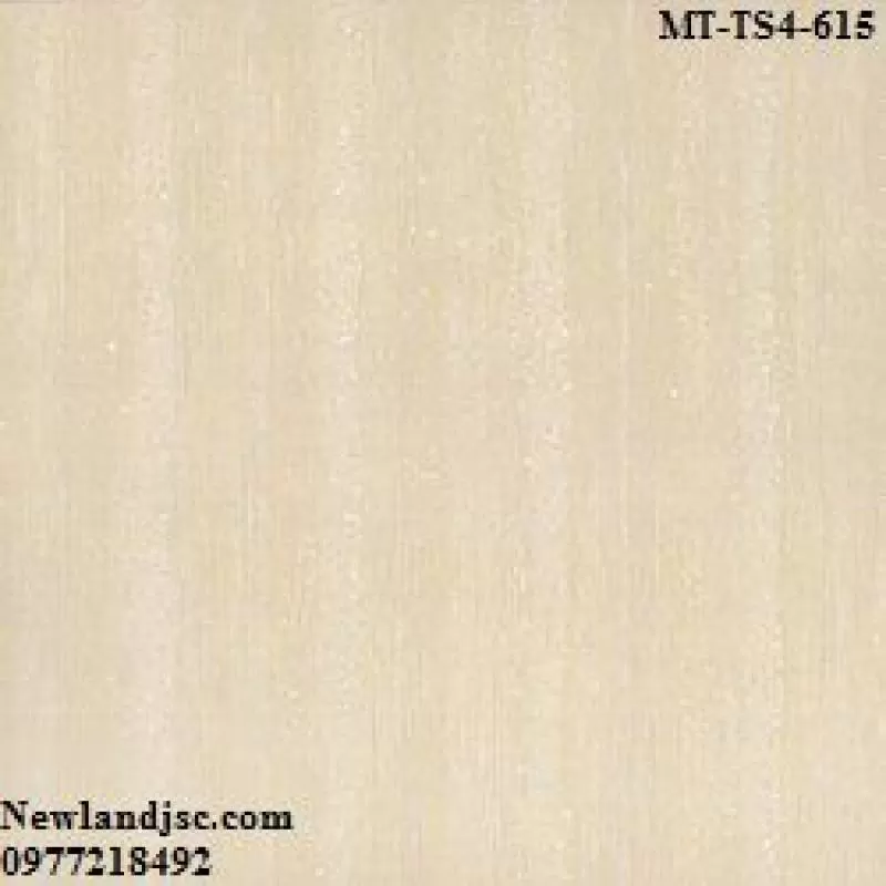 Gạch lát nền Viglacera KT 600x600mm MT-TS4-615 