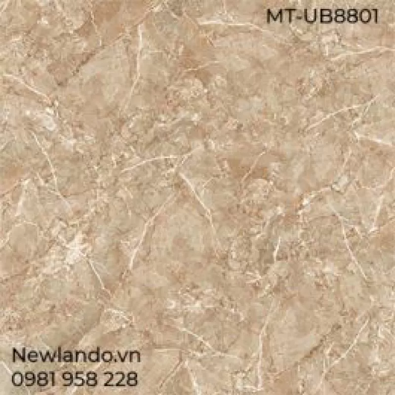Gạch lát nền Viglacera KT 800x800mm MT-UB8801 