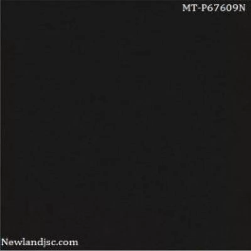 Gạch lát nền Taicera KT 600x600m MT-P67609N 