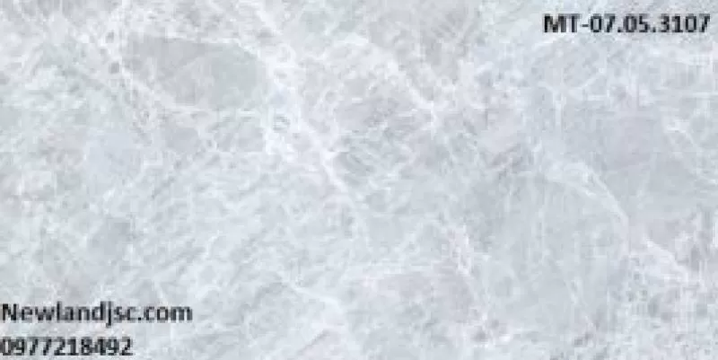 Gạch ốp tường Catalan KT 300x600mm MT-07.05.3107 