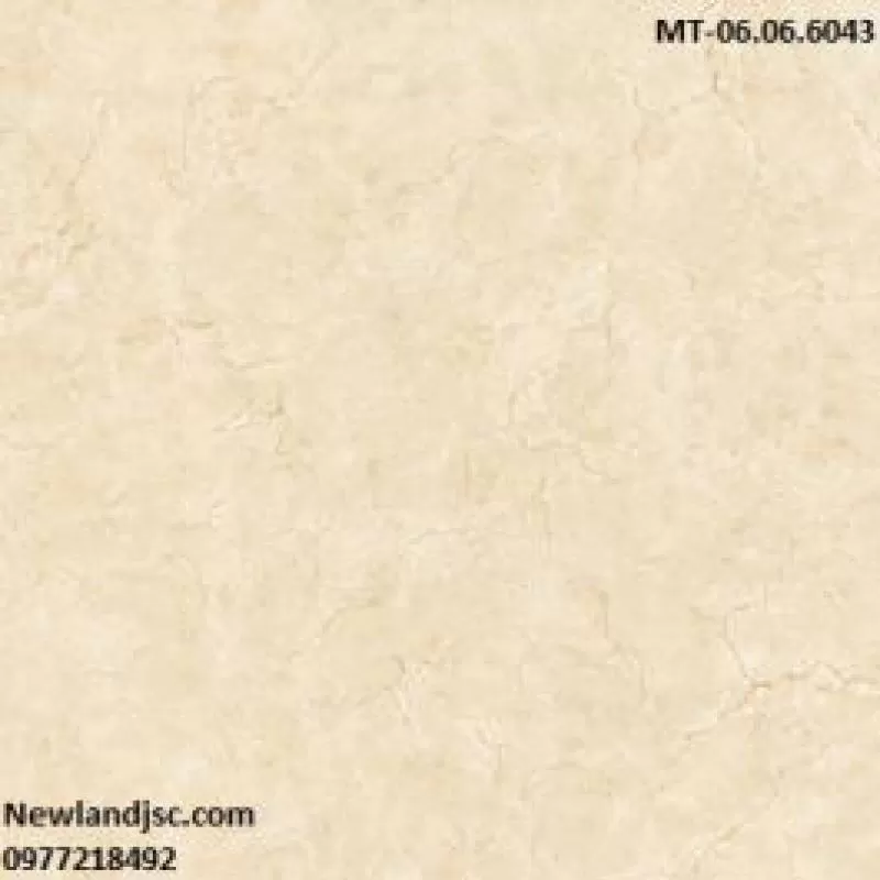 Gạch lát nền Catalan KT 600x600mm MT-06.06.6043 