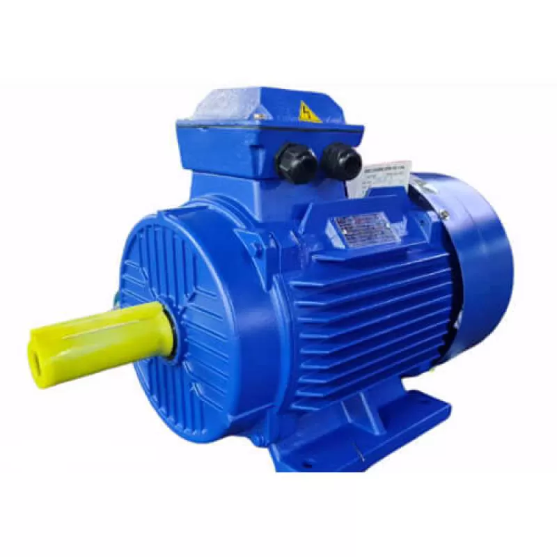 Động cơ điện Motor Toàn phát TP100L 4 HP – 3 KW – 2900v 380V