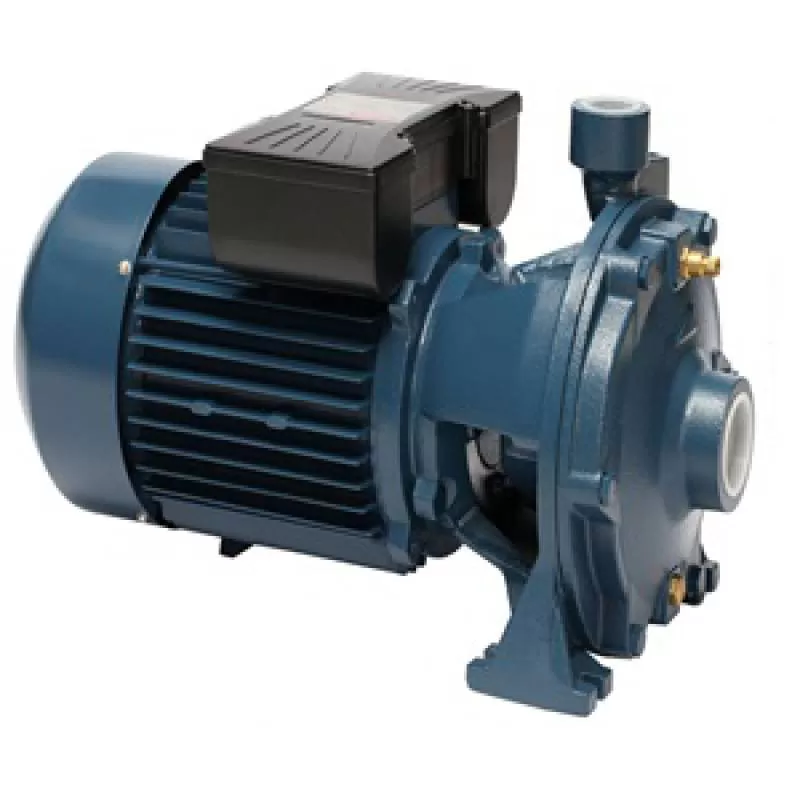 Bơm nước ly tâm Forerun 2MCP 25/160A (2.2 Kw) 