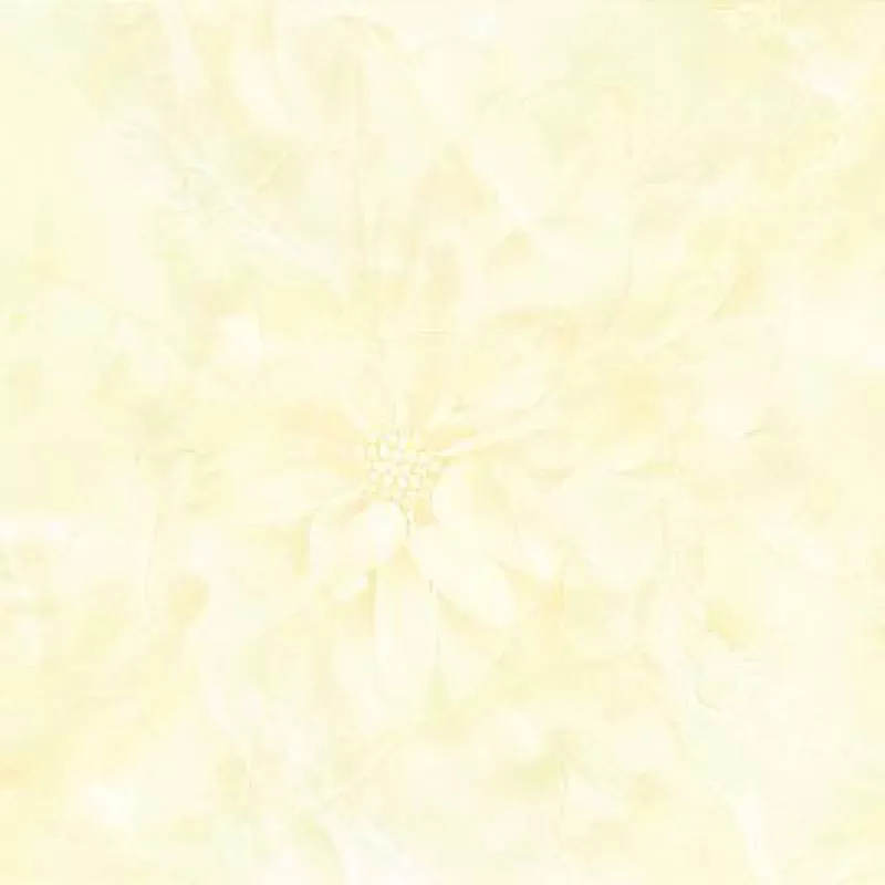 Gạch lát nền Prime 60*60 mã 12025