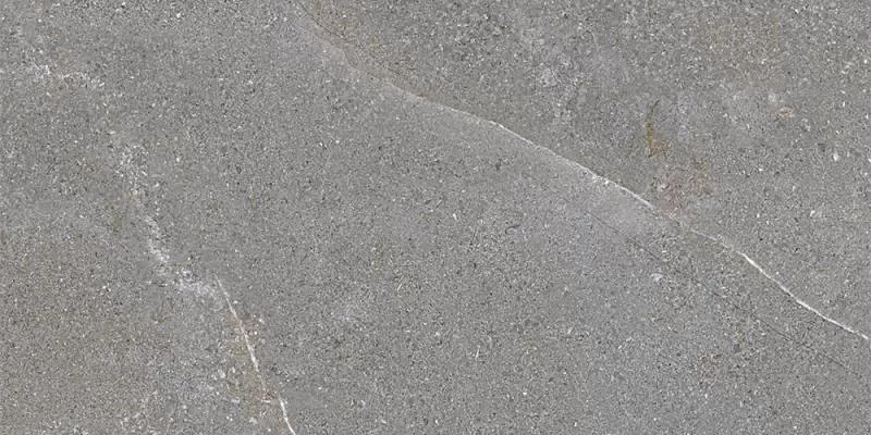 Gạch ốp lát Eurotile 450x900 EU-NGC-I03