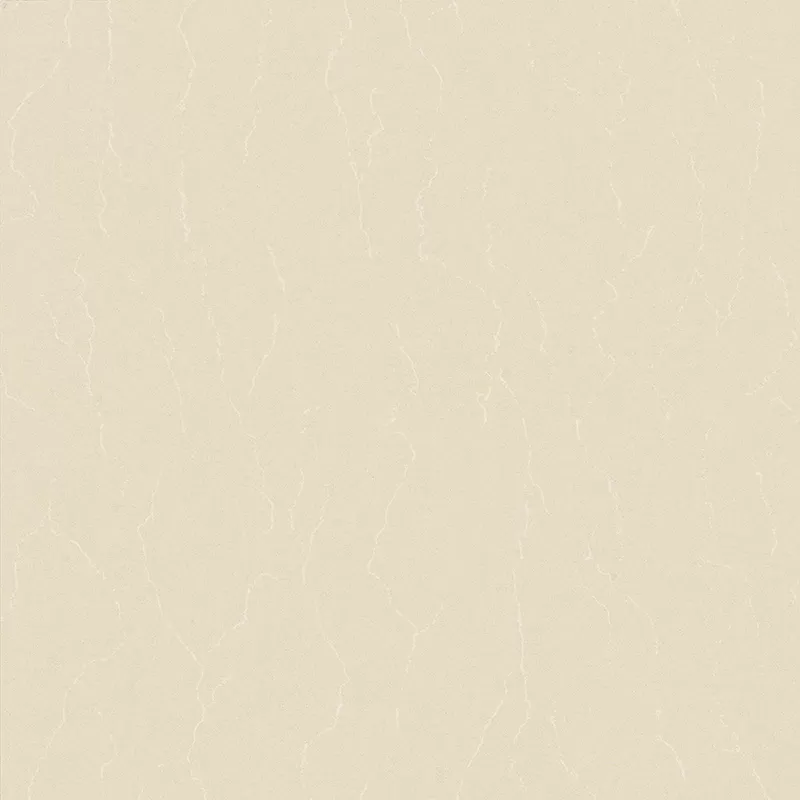 Gạch granite đồng chất VID 600x600 D6603 