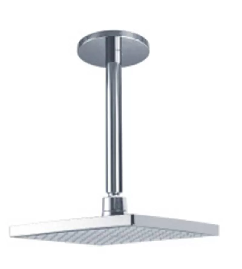 Bát sen TOTO DB144-1CR