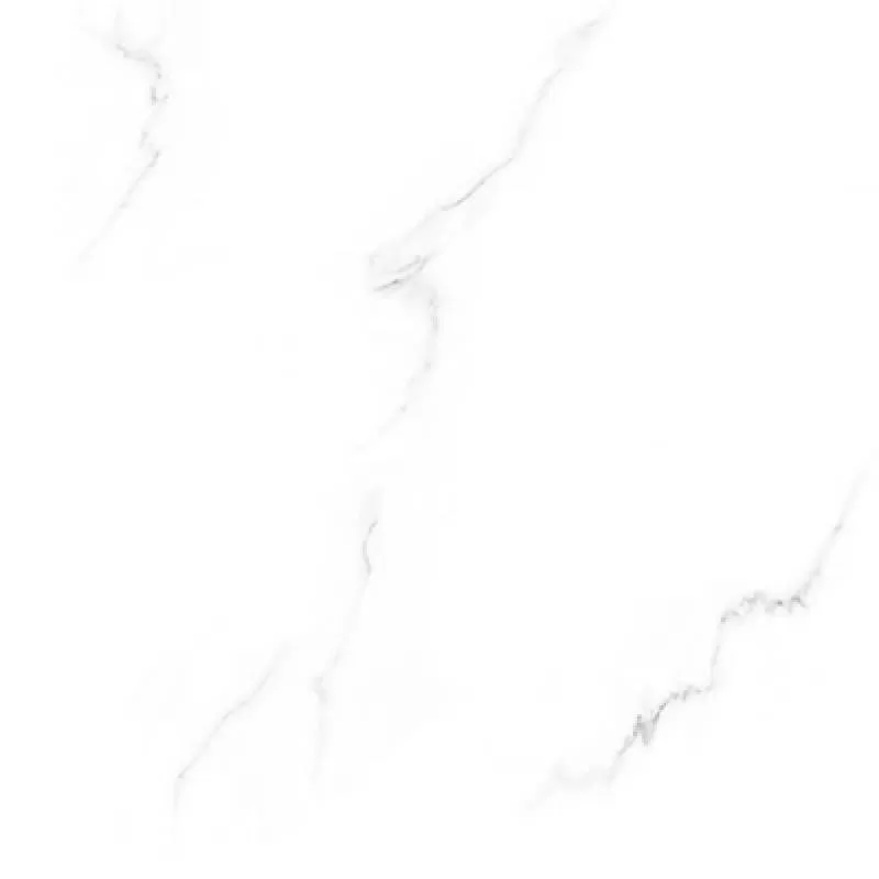 Gạch lát nền Tasa 60x60 6653