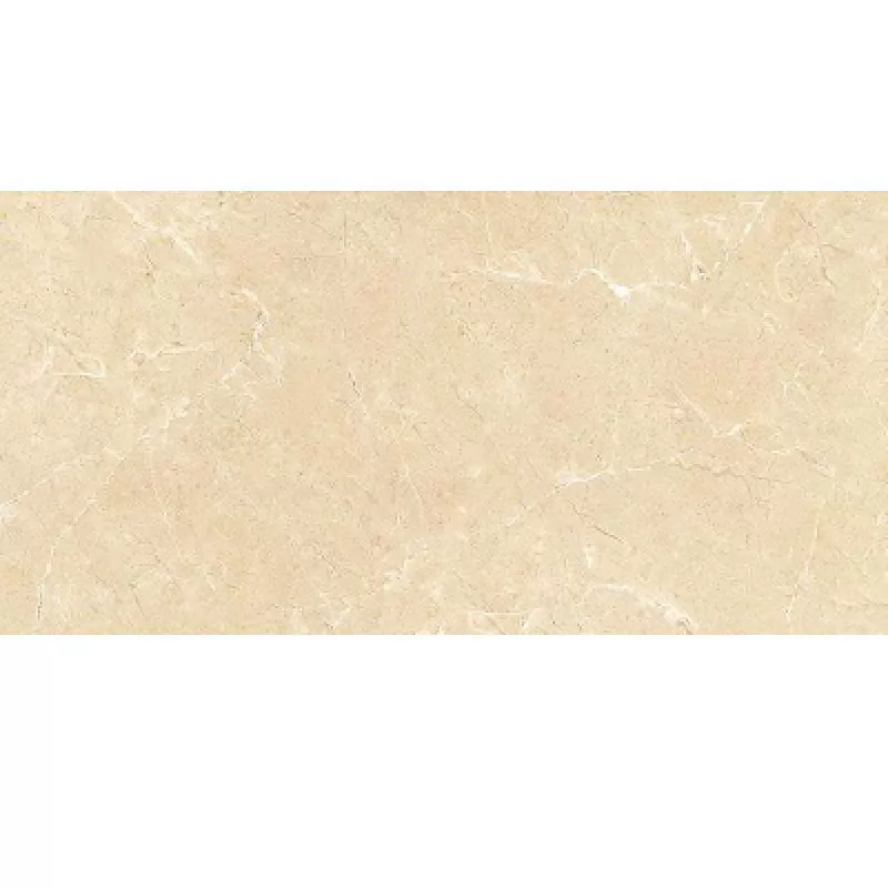 Gạch lát nền Ý Mỹ 60x120 P6128009