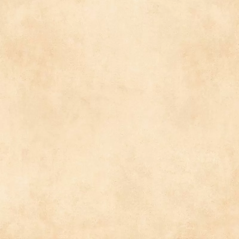 Gạch lát nền Ý Mỹ 60x60 N65002H 