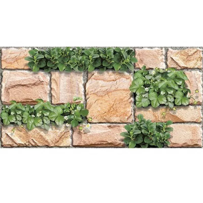 Gạch ốp tường Prime 25x50 9115 