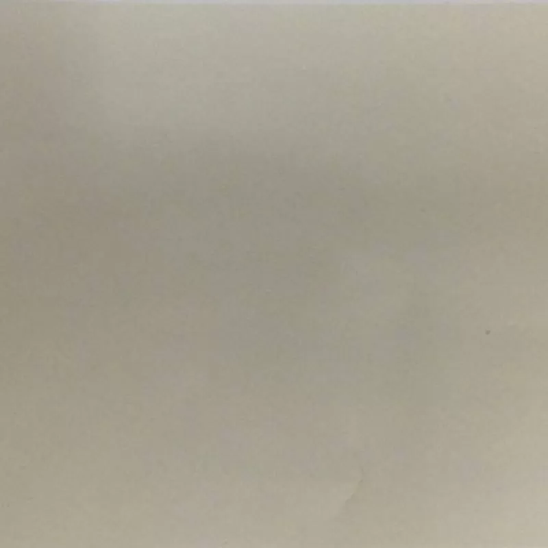 Gạch Taicera 60x60 P67615N1