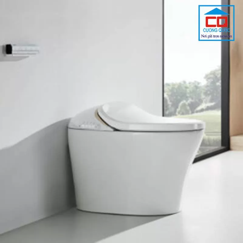 Bồn cầu điện tử thông minh Bravat C21186W-3C-VP 