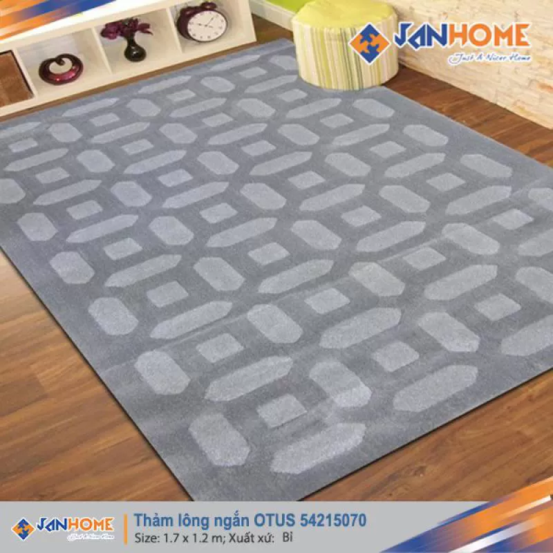 Thảm Bỉ lông ngắn Opus-54215070