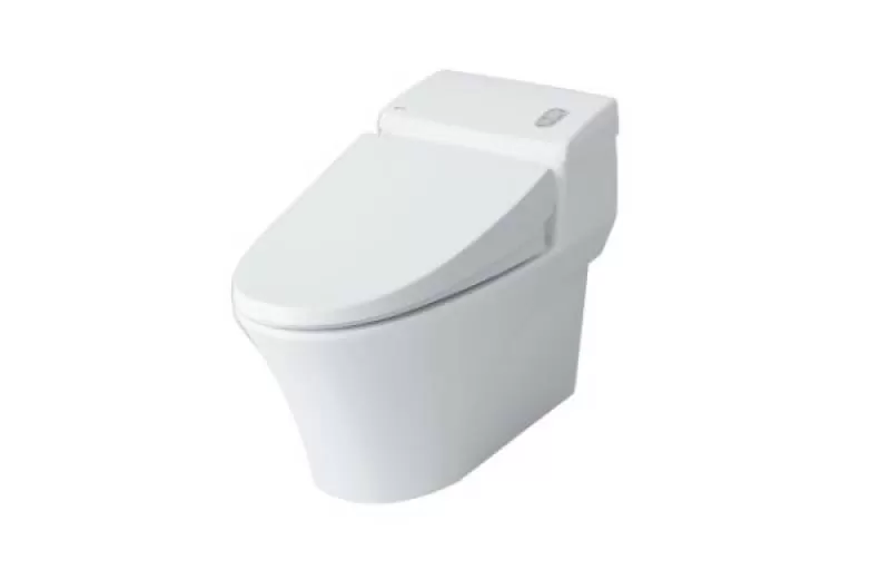Bàn cầu 1 khối AC-1008VRN 