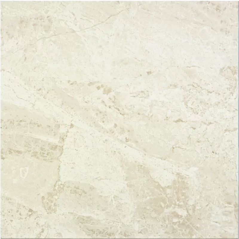 GẠCH APE 60X60CM 