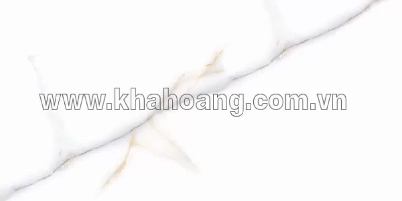 60x120cm)Venato Bianco