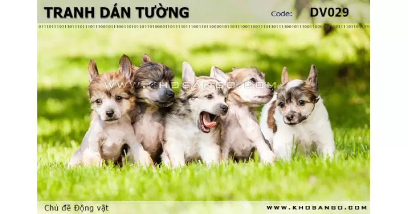 Tranh dán tường Động vật DV029