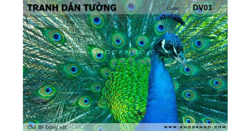 Tranh dán tường Động vật DV01 