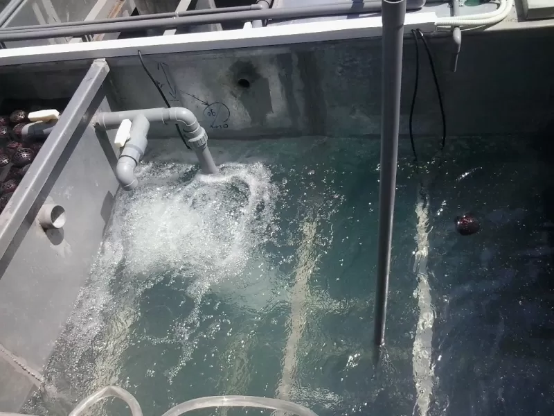 Xử lý nước thải sinh hoạt