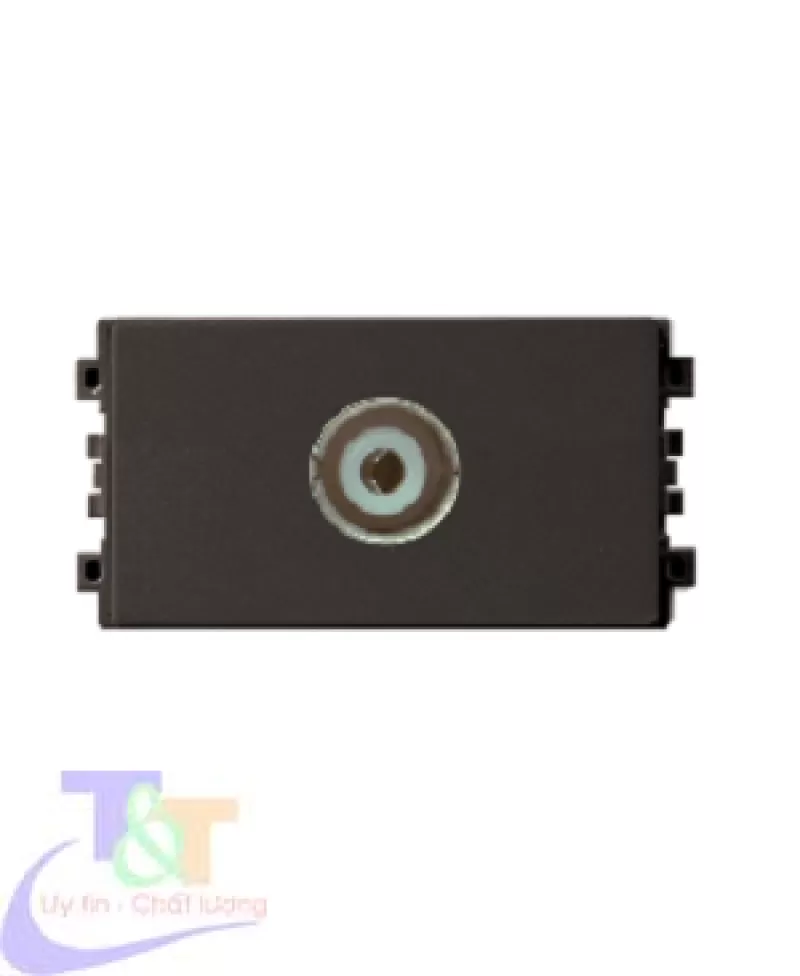 Ổ Ti Vi, size S – 8431STV_BZ_G19 