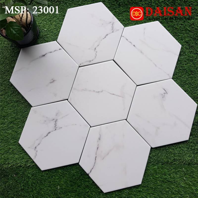 Gạch bông men lục giác nhập khẩu kích thước 200*230mm 23001