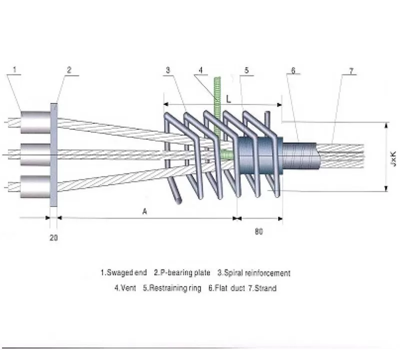 Neo chết kiểu P loại dẹt