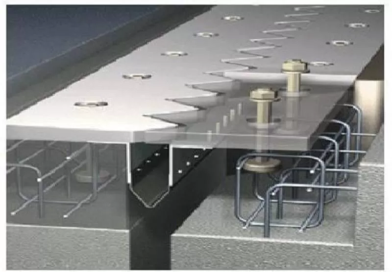 Các loại khe co giãn răng lược