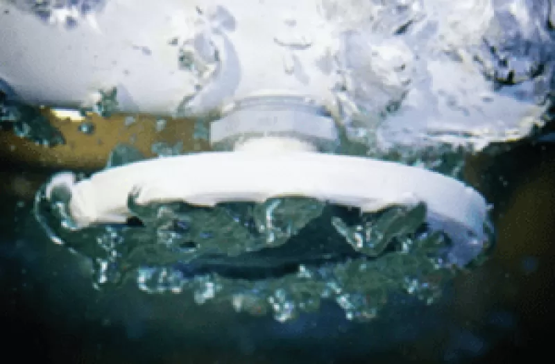 Đĩa phân phối khí thô EDI PermaCap Medium 3/4" 