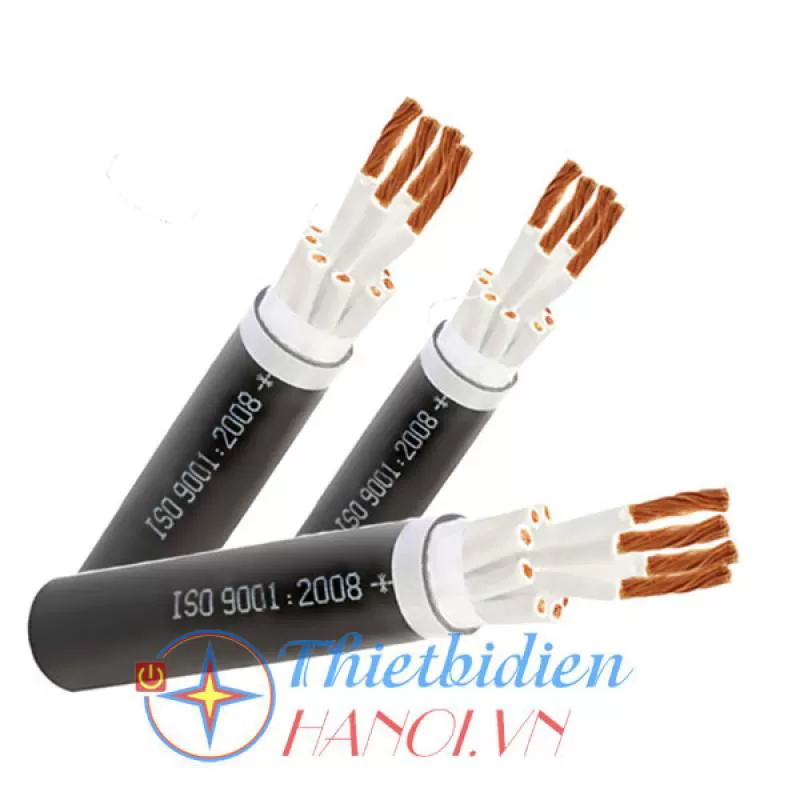 Cáp điều khiển không màn chắn Cadisun CVV 2x 5.5