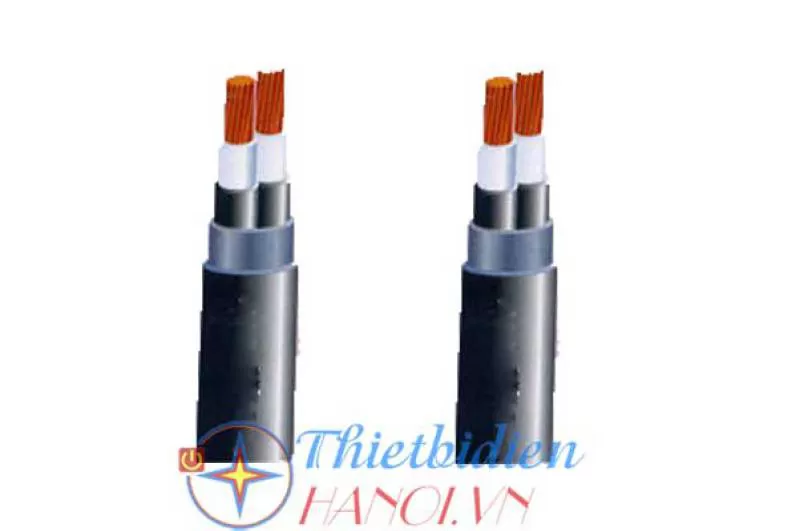 Dây cáp điện Sino, Cáp ngầm DSTA 2x2.5 