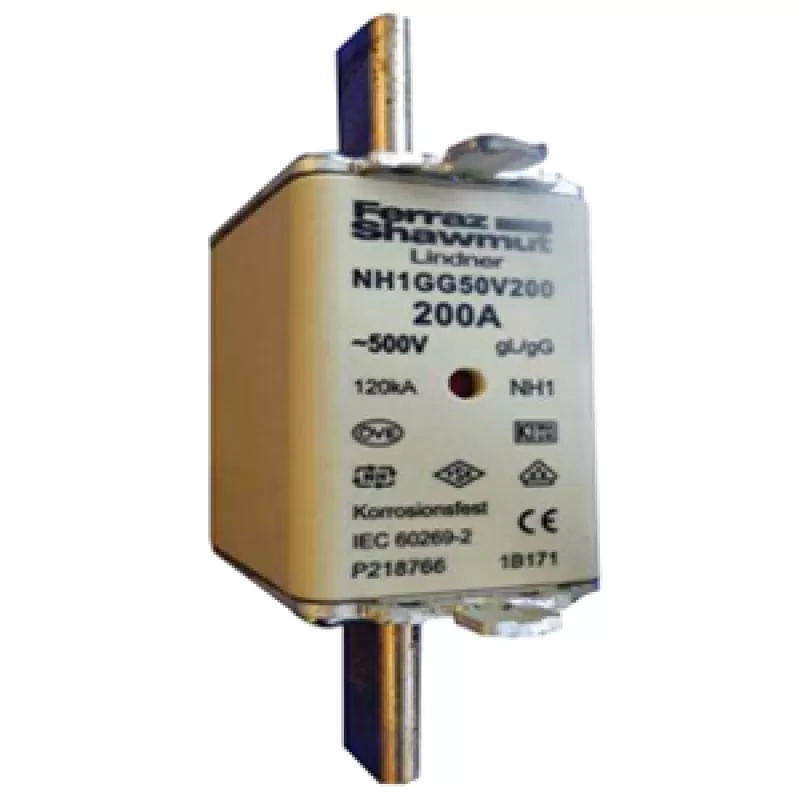 Cầu chì hạ thế Ferraz Shawmut Y216704 160A-NH2 