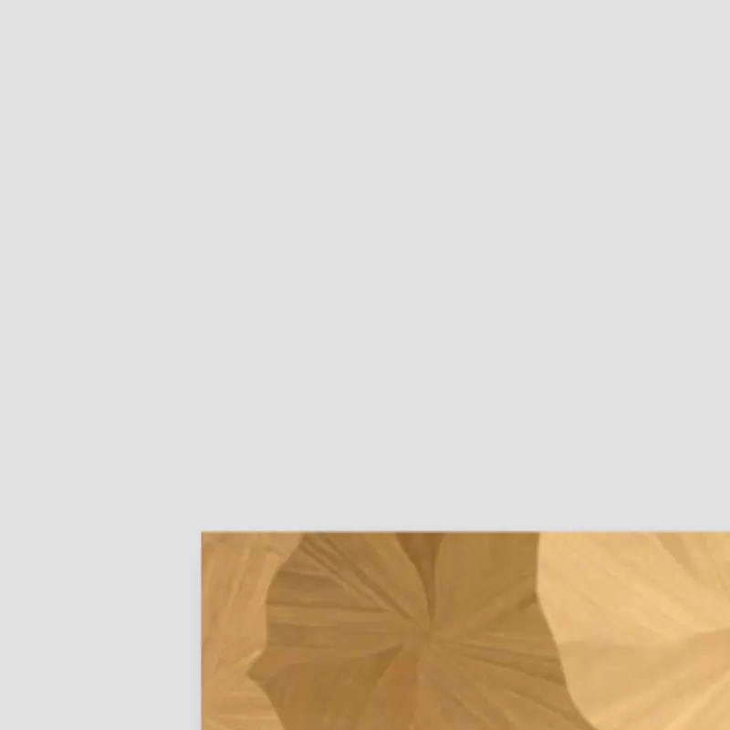 Gạch giả gỗ cánh sen 600x1200mm mã FP12184