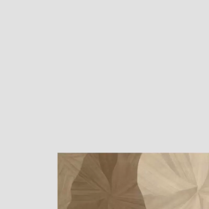 Gạch giả gỗ cánh sen 600x1200mm mã FP12185