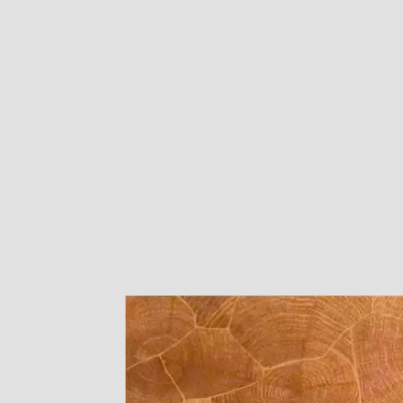 Gạch giả gỗ 600x1200mm mã FP12190