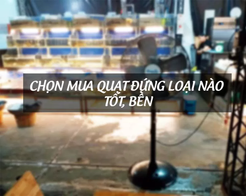 CHỌN MUA QUẠT ĐỨNG LOẠI NÀO TỐT, BỀN