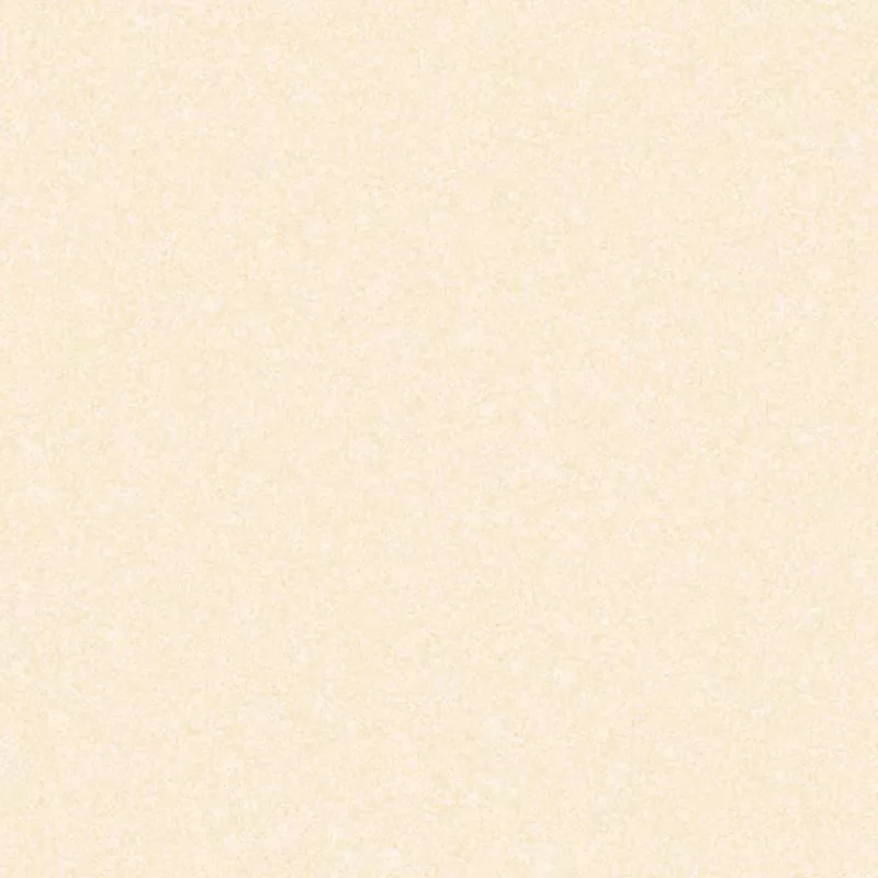 E8002