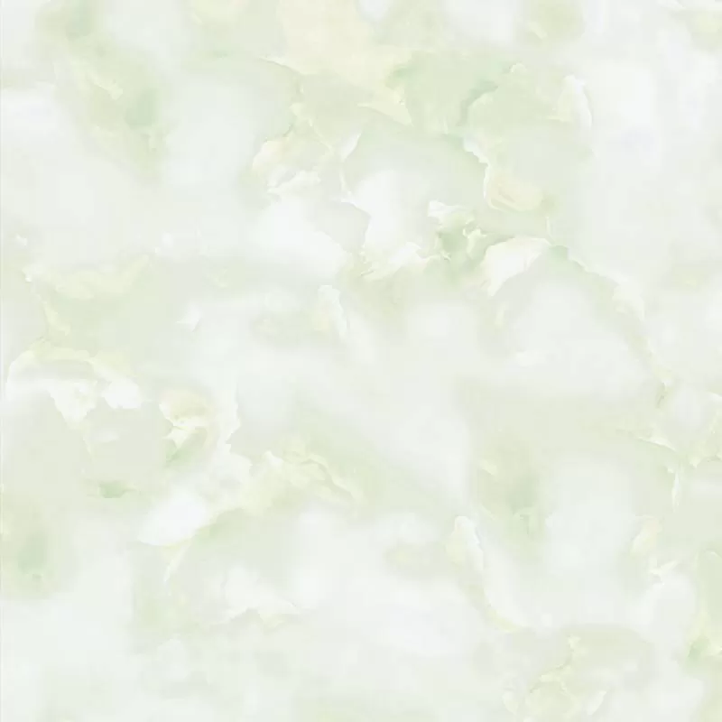 E8010
