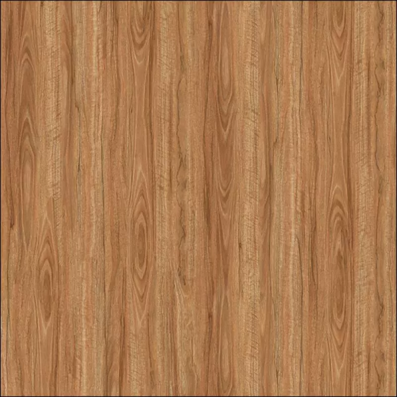 E8104