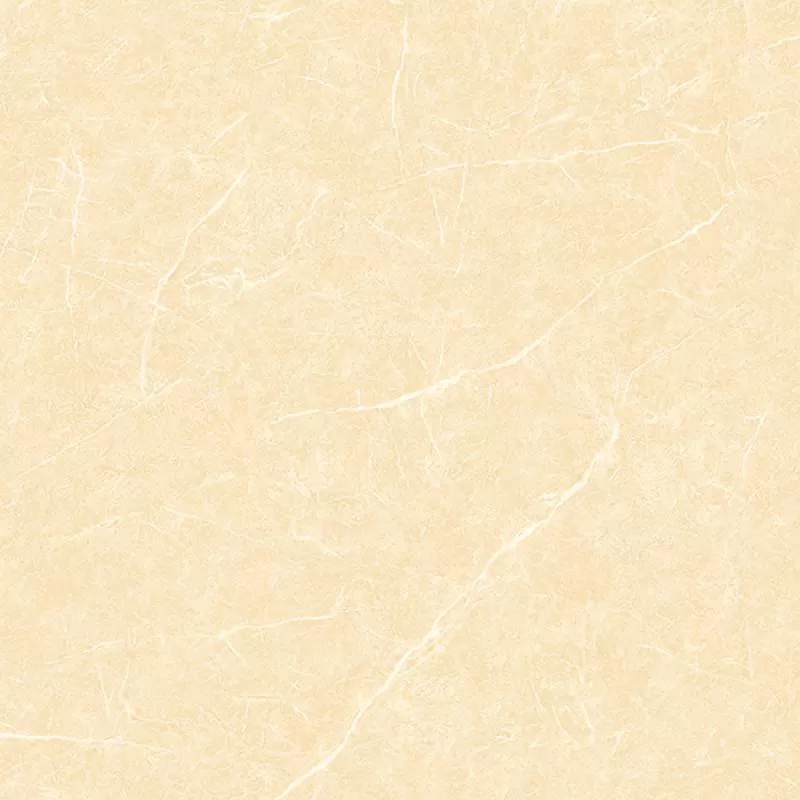 VCE6303