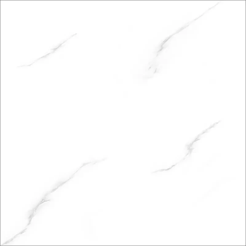 E6017