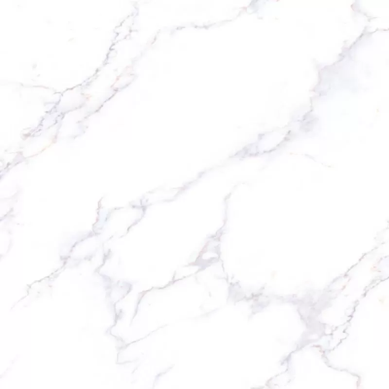E8001