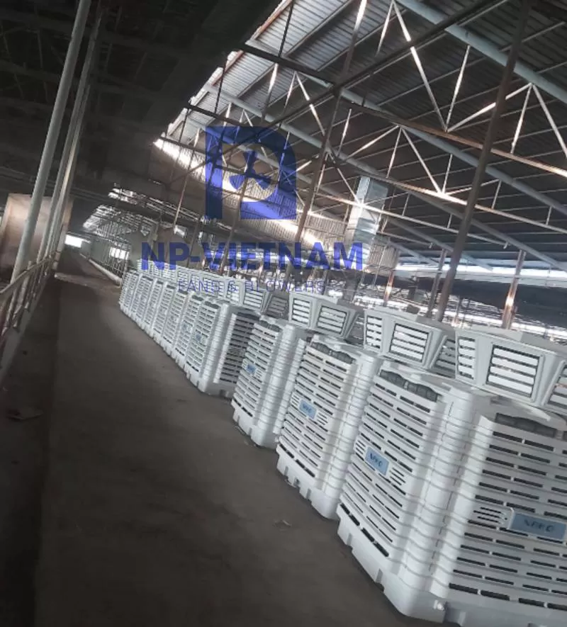 Hệ thống làm mát trang trại chăn nuôi